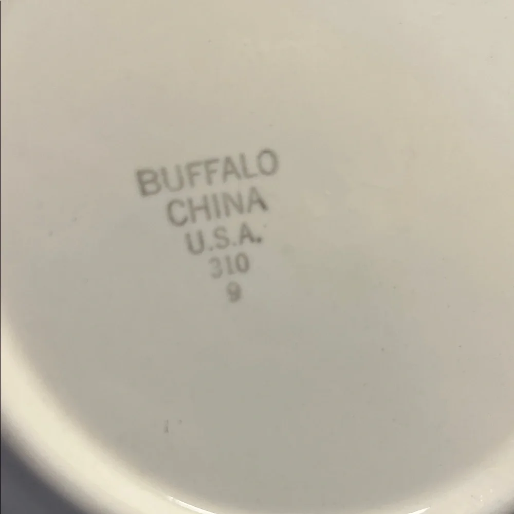 Buffalo China Classic White Restaurant (Diner) Plates with Green Rim Set of 3-7”